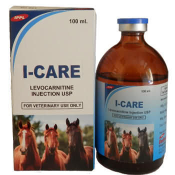 I-CARE I-CARE
