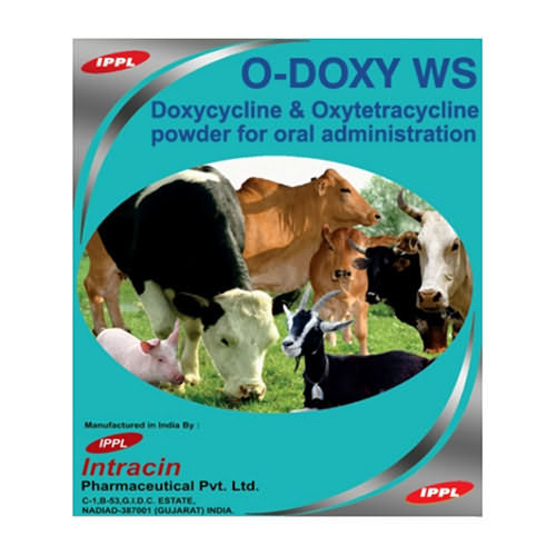 O-DOXY O-DOXY