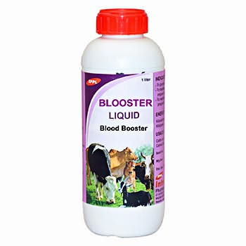 BLOOSTER BLOOSTER