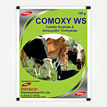 COMOXY WS COMOXY WS