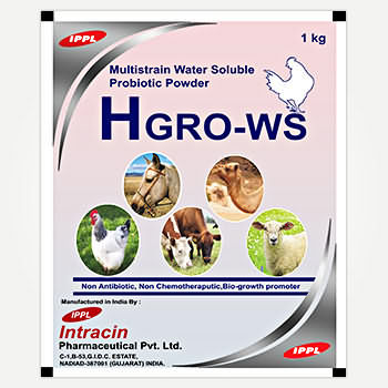 HGRO-WS HGRO-WS