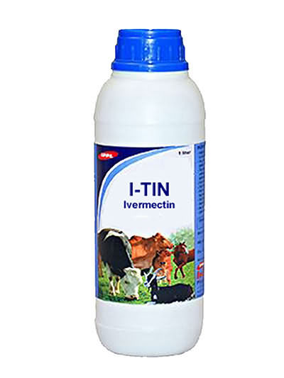I-TIN I-TIN