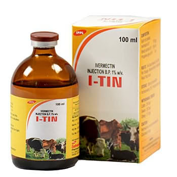 I-TIN I-TIN
