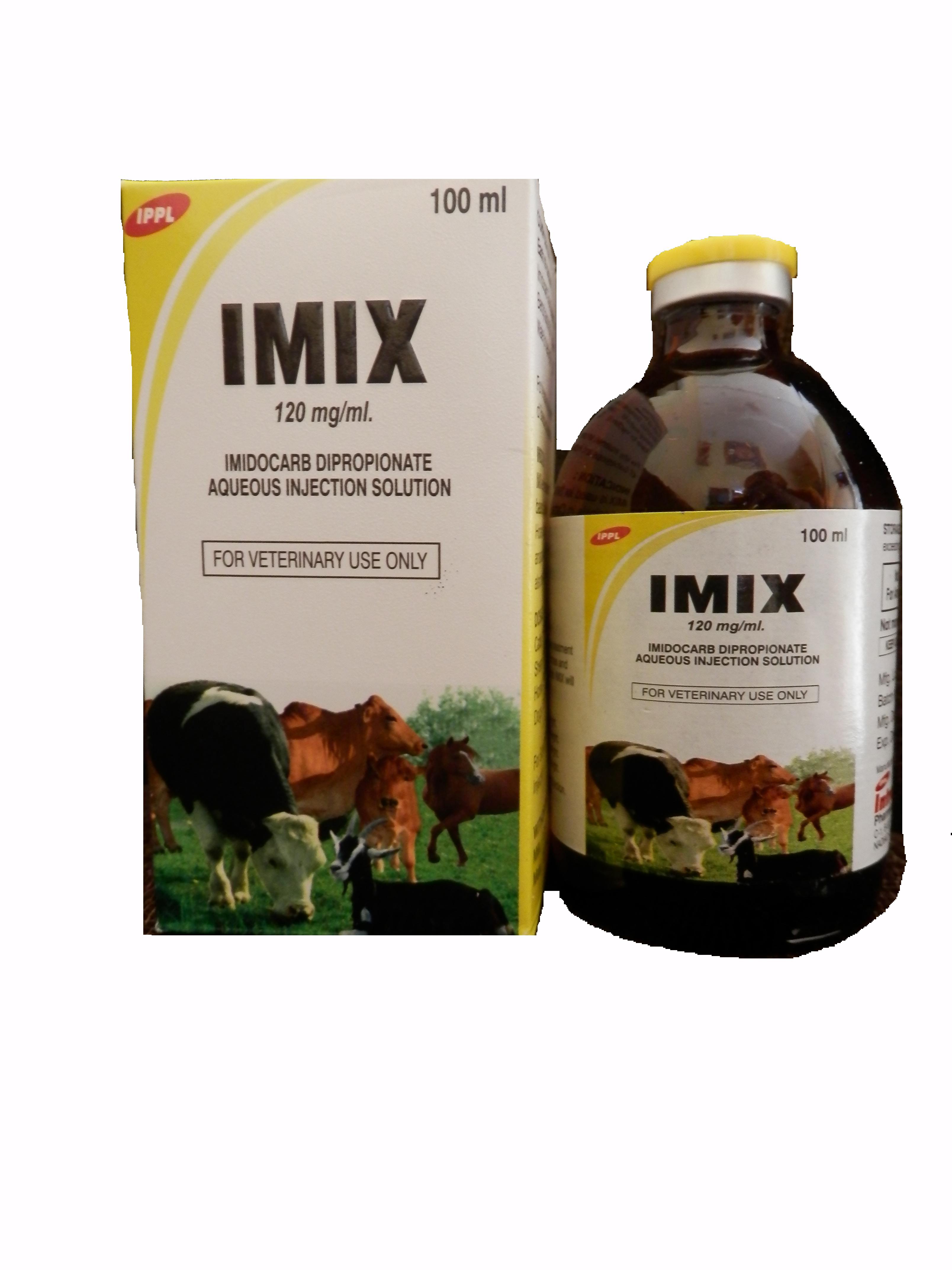 IMIX IMIX