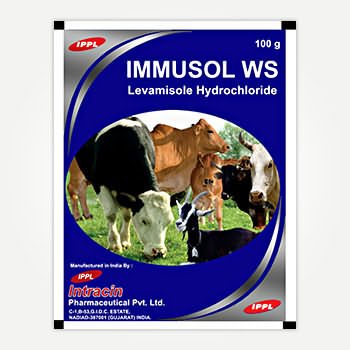 IMMUSOL WS IMMUSOL WS