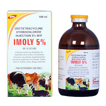 IMOLY 5% IMOLY 5%