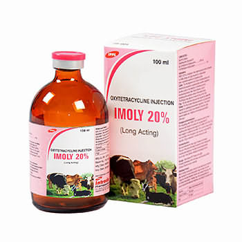 Swine (Pig) Veterinary Medicine Supplies & Manufacturer - Intracin