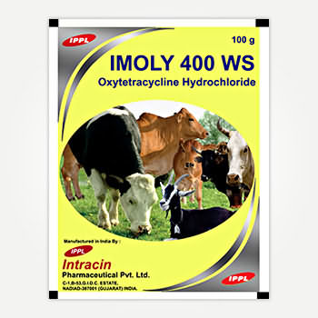 IMOLY 400 WS