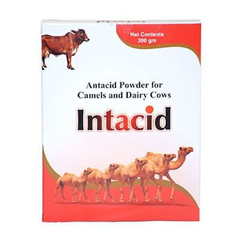 INTACID INTACID