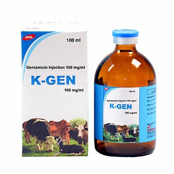 K-GEN K-GEN
