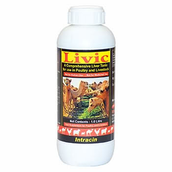 LIVIC LIVIC