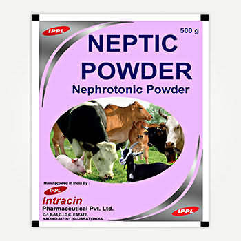 NEPTIC POWDER NEPTIC POWDER
