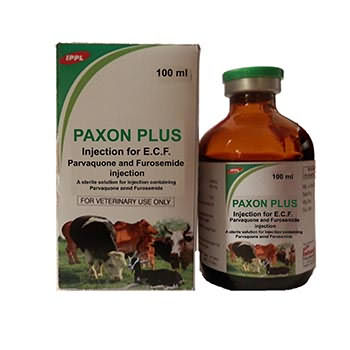 PAXON PLUS