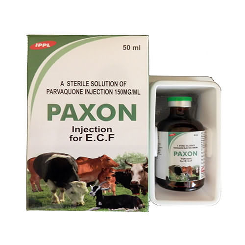 PAXON PAXON
