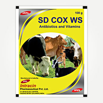 SD COX WS SD COX WS