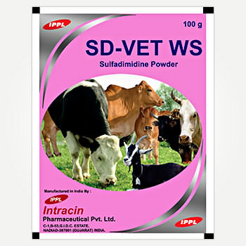 SD-VET WS SD-VET WS
