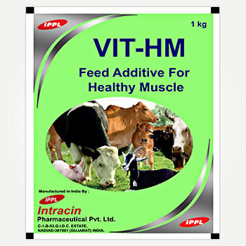 VIT-HM VIT-HM