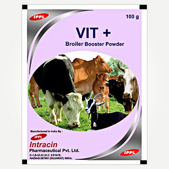 VIT + VIT +